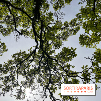 Jardin de l'Ecole du Breuil - nos photos - image00013