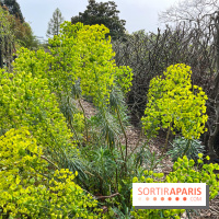 Jardin de l'Ecole du Breuil - nos photos
