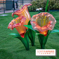 La Symphonie des Couleurs Disney à Disneyland Paris - DSC 9972