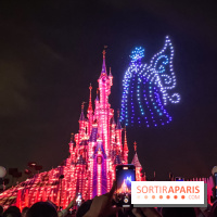 Disney Electrical Sky Parade