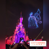 Disney Electrical Sky Parade - IMG 6128