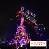 Disney Electrical Sky Parade - IMG 6138