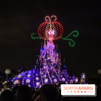 Disney Electrical Sky Parade