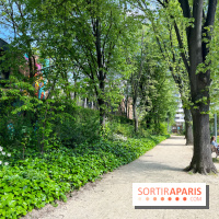 Jardin René Binet - nos photos - image00019