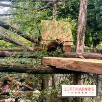 Ménagerie du Jardin des Plantes 2024 - nos photos - image00012