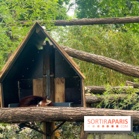 Ménagerie du Jardin des Plantes 2024 - nos photos - image00035