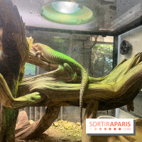 Ménagerie du Jardin des Plantes 2024 - nos photos