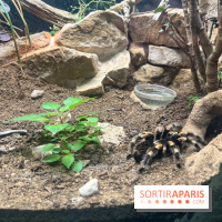 Ménagerie du Jardin des Plantes 2024 - nos photos