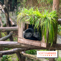 Ménagerie du Jardin des Plantes 2024 - nos photos - image00005