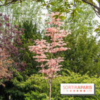 Parc de Choisy - Paris 13e -  A7C1209