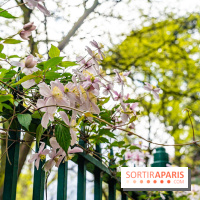 Parc de Choisy - Paris 13e -  A7C1233