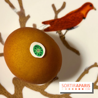 Le Dali, 2024 - Le kiwi de Cédric Grolet