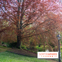 Parc du Dr Fauvel à Villennes sur Seine, grotte et cascades -  A7C1765 HDR
