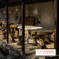 Jardin Yili, le jardin chinois caché dans les Yvelines -  A7C2214