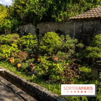 Jardin Yili, le jardin chinois caché dans les Yvelines -  A7C2221