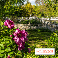 Jardin Yili, le jardin chinois caché dans les Yvelines -  A7C2248