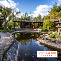 Jardin Yili, le jardin chinois caché dans les Yvelines -  A7C2279