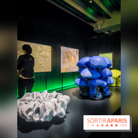 Arabofuturs : l'exposition entre science-fiction et prédictions à l'Institut du Monde Arabe - photos - IMG20240422103132