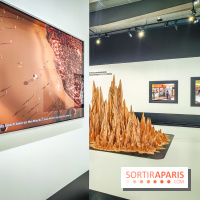 Arabofuturs : l'exposition entre science-fiction et prédictions à l'Institut du Monde Arabe - photos - IMG20240422102251