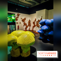 Arabofuturs : l'exposition entre science-fiction et prédictions à l'Institut du Monde Arabe - photos - IMG20240422101438