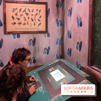 Nikito Domus : l'espace de loisirs immersif à Rosny-sous-Bois - IMG 6208