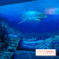 Nikito Domus : l'espace de loisirs immersif à Rosny-sous-Bois - IMG 6218