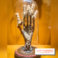 Duels, l'exposition qui nous plonge dans l'art du combat au musée de l'Armée - nos photos - IMG20240423100353