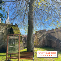 Château de Dourdan - nos photos - image00035