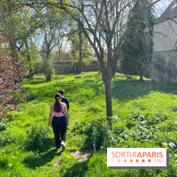 Dourdan - nos photos de la ville