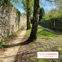 Dourdan - nos photos de la ville
