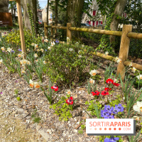 Le parc Lejars-Rouillon - nos photos - image00019