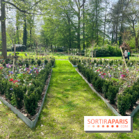 Le parc Lejars-Rouillon - nos photos - image00010