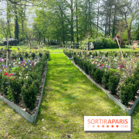 Le parc Lejars-Rouillon - nos photos - image00008