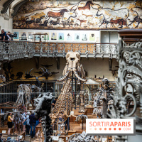 La Galerie de Paléontologie et d'Anatomie comparée du Muséum au Jardin des Plantes