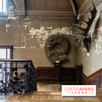 La Galerie de Paléontologie et d'Anatomie comparée du Muséum au Jardin des Plantes -  A7C7466