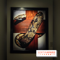 Andres Serrano - Portraits de l'Amérique : l'exposition photo se dévoile au Musée Maillol - IMG20240425102503