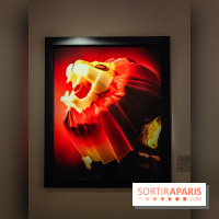 Andres Serrano - Portraits de l'Amérique : l'exposition photo se dévoile au Musée Maillol - IMG20240425110901