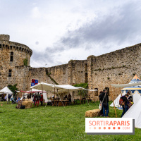 Les Rendez-vous de la Madeleine à Chevreuse -  A7C2494