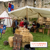 Les Rendez-vous de la Madeleine à Chevreuse -  A7C2486
