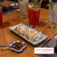 Hwaro Grill, le barbecue Coréen Paris 15e -  raviolis frits