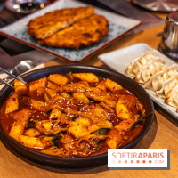 Hwaro Grill, le barbecue Coréen Paris 15e -  tteokbokki