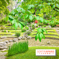 Natures vivantes : l'exposition photo qui met à l'honneur les jardins du musée Albert Kahn - photos