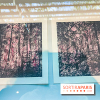 Natures vivantes : l'exposition photo qui met à l'honneur les jardins du musée Albert Kahn - photos