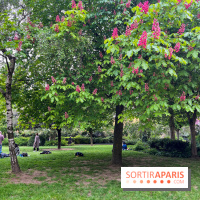 Jardin Villemin - nos photos