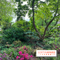 Jardin Villemin - nos photos