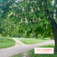 Le parc de Bois-Préau - nos photos