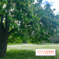 Le parc de Bois-Préau - nos photos - image00004