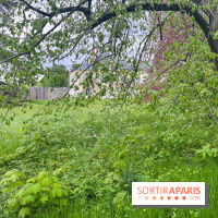 Le parc de Bois-Préau - nos photos