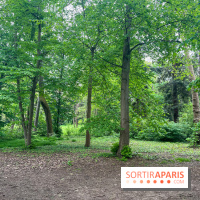 Le parc de Bois-Préau - nos photos