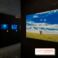 Reflets de la nature, nos photos de l'exposition - 20240507 141333